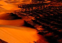 毛乌素沙漠 现在的毛乌素沙漠