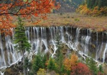 诺日朗瀑布 九寨沟的瀑布图片