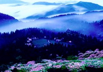 杭州有什么山 杭州的山有哪些最有名