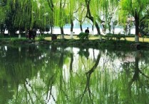 杭州西湖旅游 杭州西湖附近游玩景点