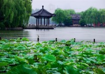 上海周边一日游大明湖畔在哪 大明湖正常人游玩攻略