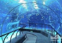 南京海底世界 南京海洋馆好玩还是海底世界好