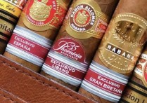 哈瓦那雪茄 habanos雪茄图片
