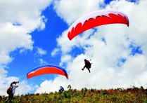 滑翔伞俱乐部 最近的滑翔伞基地