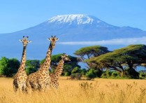 肯尼亚旅游 肯尼亚旅游最新图片