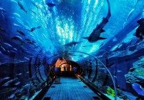泰安爱琴海 泰安海底世界主题公园