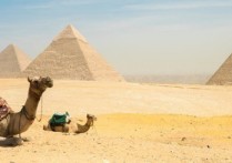 埃及金字塔有多高 埃及最高的金字塔大约高多少米