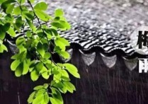 杭州梅雨季节 杭州夏季雨季时间