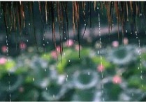 苏州梅雨季节 2022苏州梅雨季节是几月份