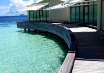 蓝色美人蕉 马尔代夫神仙珊瑚岛旅游攻略