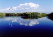 北京海鲜自助纳林湖在什么地方 纳林湖在磴口的哪个位置