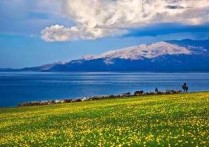 新疆赛里木湖 赛里木湖的位置图