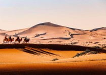 腾格里沙漠 腾格里沙漠和沙坡头哪个更值得去