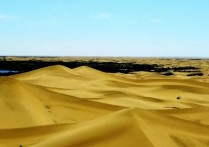 库布齐沙漠 沙漠生态系统在什么地方